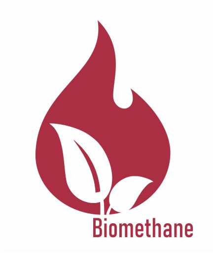 Read more about the article Biomethane Development in Indonesia from a Commercial Perspective