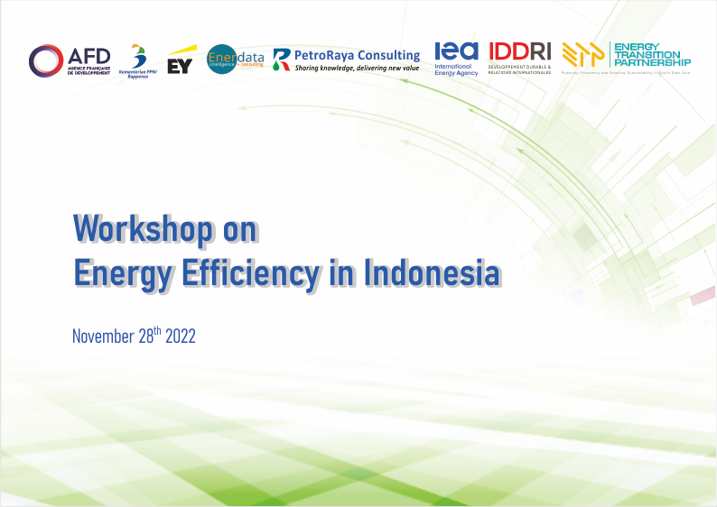 Read more about the article Workshop on Energy Efficiency in Indonesia