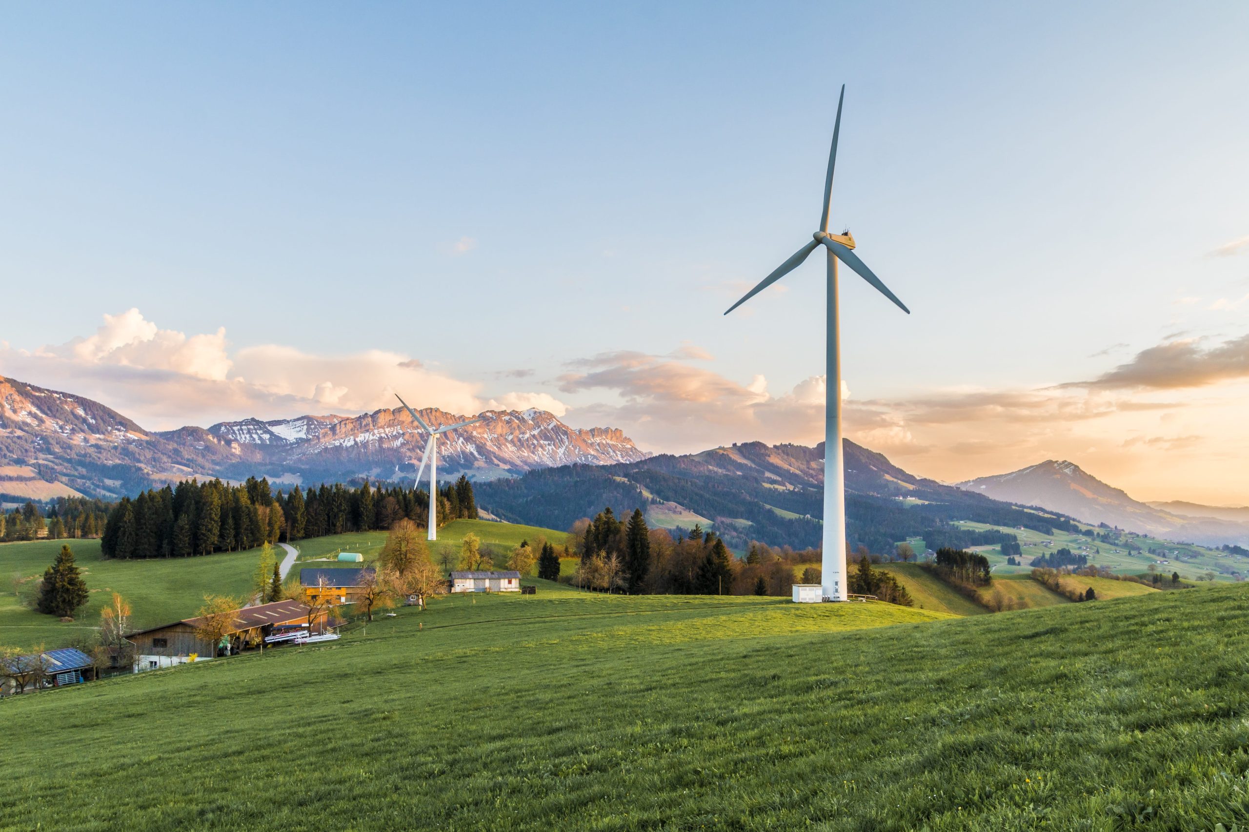 You are currently viewing Solar PV and Bioenergy: Different Pathways for Harnessing Solar Energy